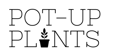 Logo Pot-Up Plants