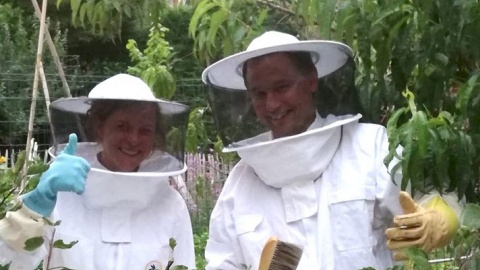 De Zevensprong brengt bijen naar Leuven-centrum