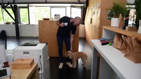 Take Your Dog To Work Day in Leuven